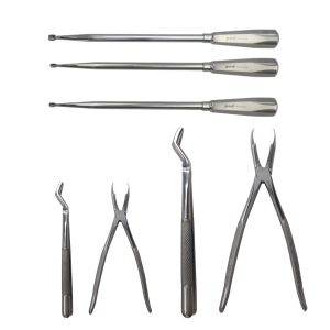 5 Piece Wolf & Canine Set