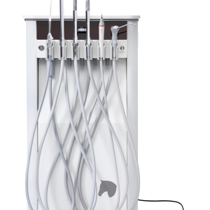 VDS Equine Dental Station