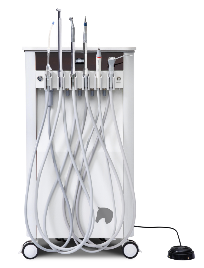 VDS Equine Dental Station