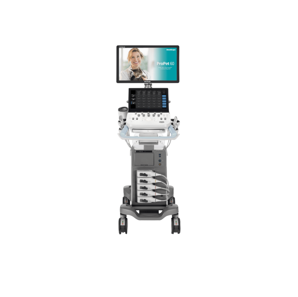 P60 Veterinary Ultrasound
